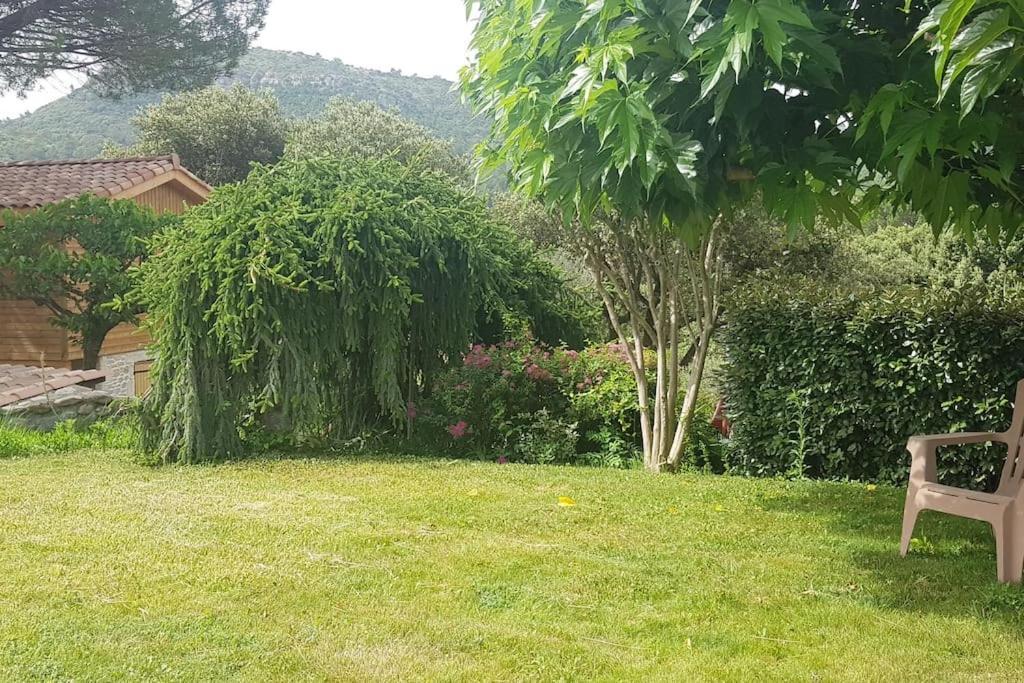 A L'Ombre Du Chene Gites Eden En Cevennes 昂迪兹 外观 照片