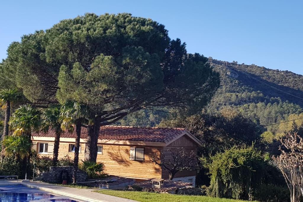 A L'Ombre Du Chene Gites Eden En Cevennes 昂迪兹 外观 照片
