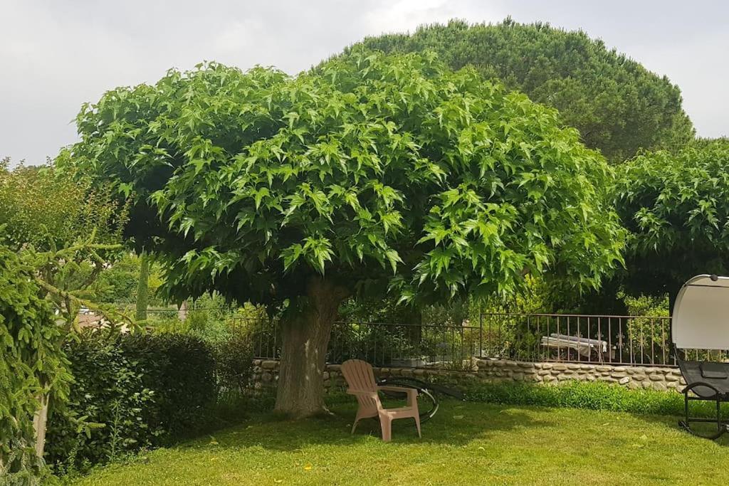 A L'Ombre Du Chene Gites Eden En Cevennes 昂迪兹 外观 照片