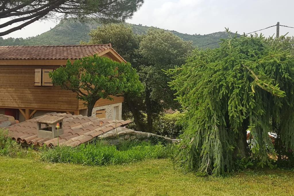 A L'Ombre Du Chene Gites Eden En Cevennes 昂迪兹 外观 照片