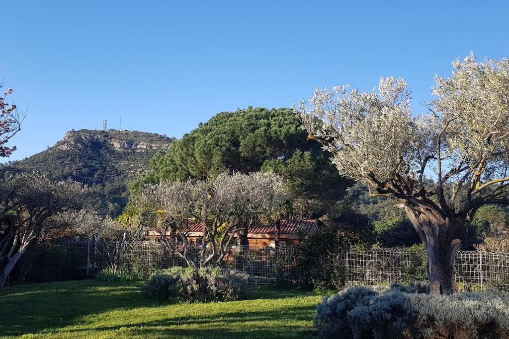 A L'Ombre Du Chene Gites Eden En Cevennes 昂迪兹 外观 照片